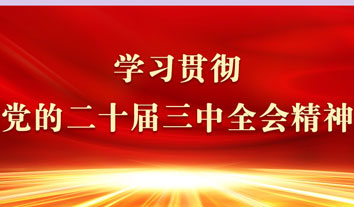 我會僑商認真學(xué)習(xí)貫徹黨的二十屆三中全會精神